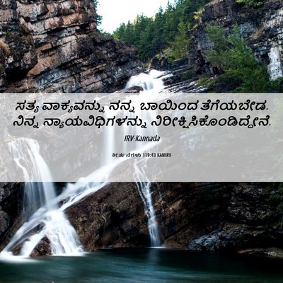 Picture 06 - ಕೀರ್ತನೆಗಳು 119:43 KANIRV - ಸತ್ಯ ವಾಕ್ಯವನ್ನು - Bible Verse Picture