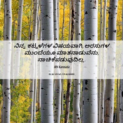 Picture 06 - ಕೀರ್ತನೆಗಳು 119:46 KANIRV - ನಿನ್ನ ಕಟ್ಟಳೆಗಳ - Bible Verse Picture