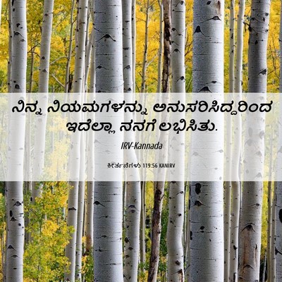 Picture 06 - ಕೀರ್ತನೆಗಳು 119:56 KANIRV - ನಿನ್ನ ನಿಯಮಗಳನ್ನು - Bible Verse Picture