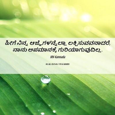 Picture 06 - ಕೀರ್ತನೆಗಳು 119:6 KANIRV - ಹೀಗೆ ನಿನ್ನ - Bible Verse Picture