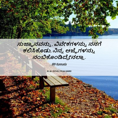 Picture 06 - ಕೀರ್ತನೆಗಳು 119:66 KANIRV - ಸುಜ್ಞಾನವನ್ನು, - Bible Verse Picture