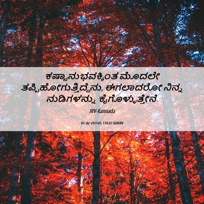 Picture 06 - ಕೀರ್ತನೆಗಳು 119:67 KANIRV - ಕಷ್ಟಾನುಭವಕ್ಕಿಂತ - Bible Verse Picture