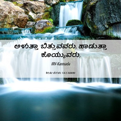 Picture 06 - ಕೀರ್ತನೆಗಳು 126:5 KANIRV - ಅಳುತ್ತಾ - Bible Verse Picture