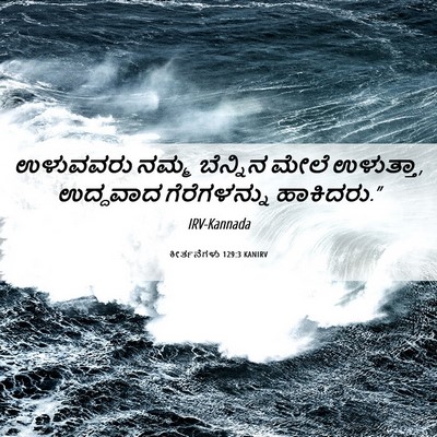 Picture 06 - ಕೀರ್ತನೆಗಳು 129:3 KANIRV - ಉಳುವವರು ನಮ್ಮ - Bible Verse Picture