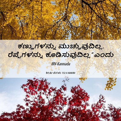 Picture 06 - ಕೀರ್ತನೆಗಳು 132:4 KANIRV - ಕಣ್ಣುಗಳನ್ನು - Bible Verse Picture