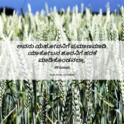 Picture 06 - ಕೀರ್ತನೆಗಳು 132:5 KANIRV - ಅವನು ಯೆಹೋವನಿಗೆ - Bible Verse Picture