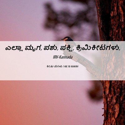Picture 06 - ಕೀರ್ತನೆಗಳು 148:10 KANIRV - ಎಲ್ಲಾ ಮೃಗ, ಪಶು, - Bible Verse Picture