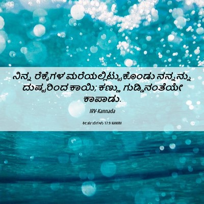 Picture 06 - ಕೀರ್ತನೆಗಳು 17:9 KANIRV - ನಿನ್ನ ರೆಕ್ಕೆಗಳ - Bible Verse Picture