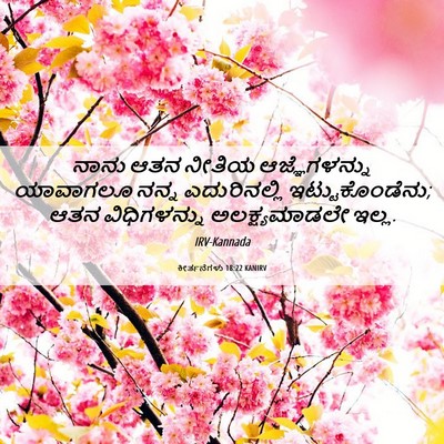 Picture 06 - ಕೀರ್ತನೆಗಳು 18:22 KANIRV - ನಾನು ಆತನ ನೀತಿಯ - Bible Verse Picture