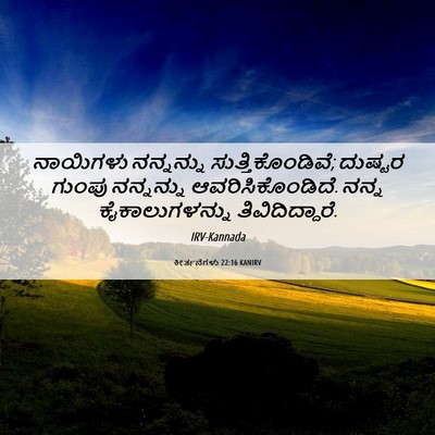 Picture 06 - ಕೀರ್ತನೆಗಳು 22:16 KANIRV - ನಾಯಿಗಳು ನನ್ನನ್ನು - Bible Verse Picture