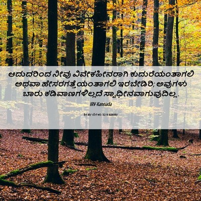 Picture 06 - ಕೀರ್ತನೆಗಳು 32:9 KANIRV - ಆದುದರಿಂದ ನೀವು - Bible Verse Picture