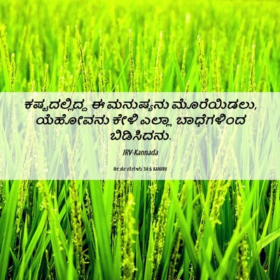 Picture 06 - ಕೀರ್ತನೆಗಳು 34:6 KANIRV - ಕಷ್ಟದಲ್ಲಿದ್ದ ಈ - Bible Verse Picture