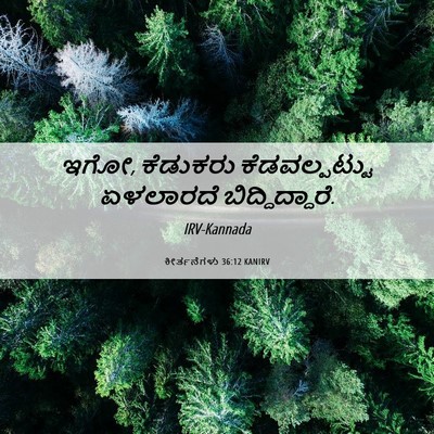 Picture 06 - ಕೀರ್ತನೆಗಳು 36:12 KANIRV - ಇಗೋ, ಕೆಡುಕರು - Bible Verse Picture