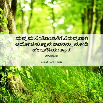 Picture 06 - ಕೀರ್ತನೆಗಳು 37:12 KANIRV - ದುಷ್ಟನು - Bible Verse Picture