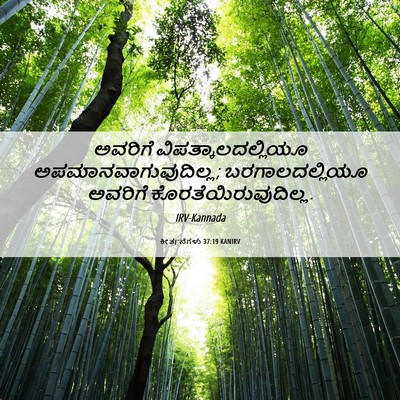 Picture 06 - ಕೀರ್ತನೆಗಳು 37:19 KANIRV - ಅವರಿಗೆ - Bible Verse Picture