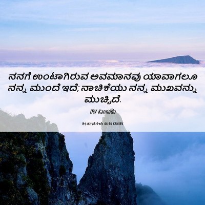 Picture 06 - ಕೀರ್ತನೆಗಳು 44:16 KANIRV - ನನಗೆ ಉಂಟಾಗಿರುವ - Bible Verse Picture