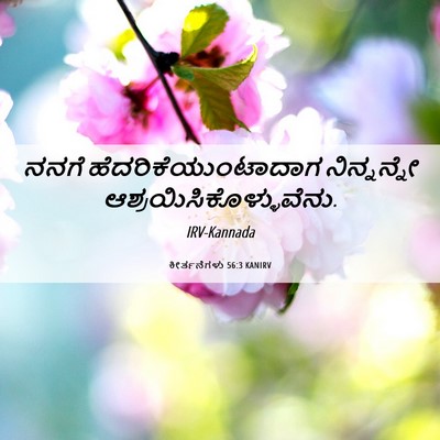 Picture 06 - ಕೀರ್ತನೆಗಳು 56:3 KANIRV - ನನಗೆ - Bible Verse Picture