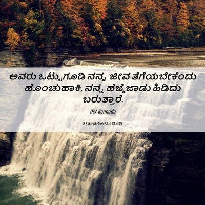 Picture 06 - ಕೀರ್ತನೆಗಳು 56:6 KANIRV - ಅವರು ಒಟ್ಟುಗೂಡಿ - Bible Verse Picture