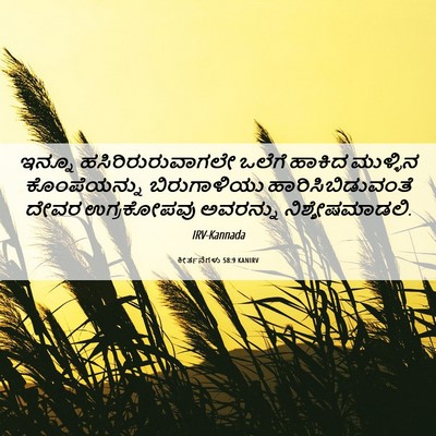 Picture 06 - ಕೀರ್ತನೆಗಳು 58:9 KANIRV - ಇನ್ನೂ - Bible Verse Picture