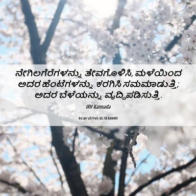 Picture 06 - ಕೀರ್ತನೆಗಳು 65:10 KANIRV - ನೇಗಿಲಗೆರೆಗಳನ್ನು - Bible Verse Picture