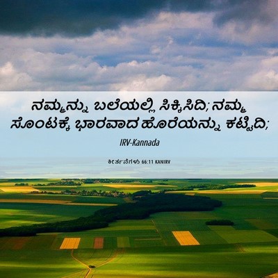 Picture 06 - ಕೀರ್ತನೆಗಳು 66:11 KANIRV - ನಮ್ಮನ್ನು ಬಲೆಯಲ್ಲಿ - Bible Verse Picture