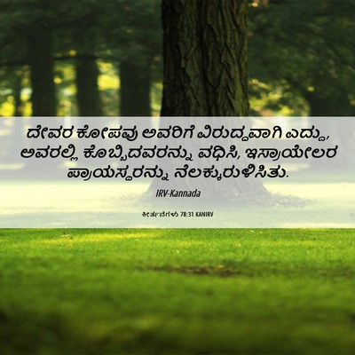 Picture 06 - ಕೀರ್ತನೆಗಳು 78:31 KANIRV - ದೇವರ ಕೋಪವು ಅವರಿಗೆ - Bible Verse Picture