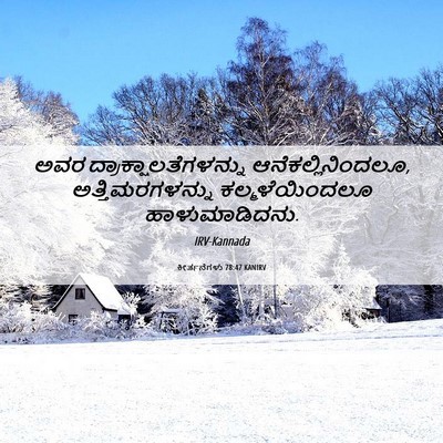 Picture 06 - ಕೀರ್ತನೆಗಳು 78:47 KANIRV - ಅವರ - Bible Verse Picture