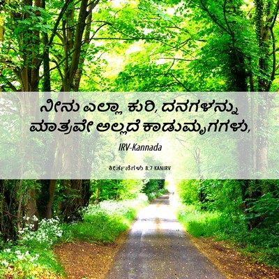 Picture 06 - ಕೀರ್ತನೆಗಳು 8:7 KANIRV - ನೀನು ಎಲ್ಲಾ ಕುರಿ, - Bible Verse Picture