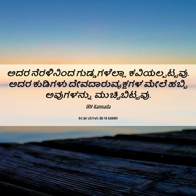 Picture 06 - ಕೀರ್ತನೆಗಳು 80:10 KANIRV - ಅದರ ನೆರಳಿನಿಂದ - Bible Verse Picture