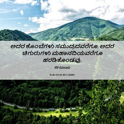 Picture 06 - ಕೀರ್ತನೆಗಳು 80:11 KANIRV - ಅದರ ಕೊಂಬೆಗಳು - Bible Verse Picture