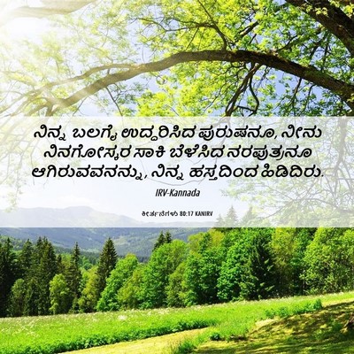 Picture 06 - ಕೀರ್ತನೆಗಳು 80:17 KANIRV - ನಿನ್ನ ಬಲಗೈ - Bible Verse Picture