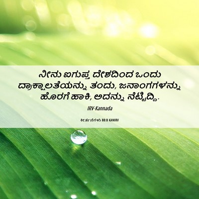 Picture 06 - ಕೀರ್ತನೆಗಳು 80:8 KANIRV - ನೀನು ಐಗುಪ್ತ - Bible Verse Picture
