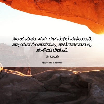 Picture 06 - ಕೀರ್ತನೆಗಳು 91:13 KANIRV - ಸಿಂಹ ಮತ್ತು ಸರ್ಪಗಳ - Bible Verse Picture