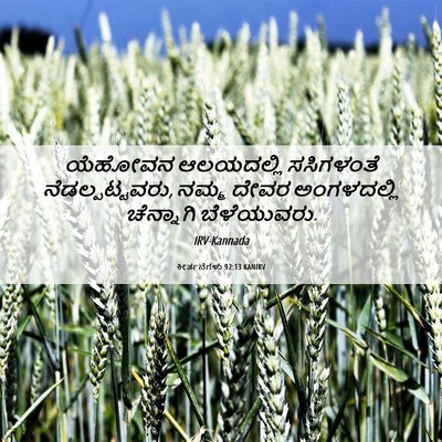 Picture 06 - ಕೀರ್ತನೆಗಳು 92:13 KANIRV - ಯೆಹೋವನ ಆಲಯದಲ್ಲಿ - Bible Verse Picture