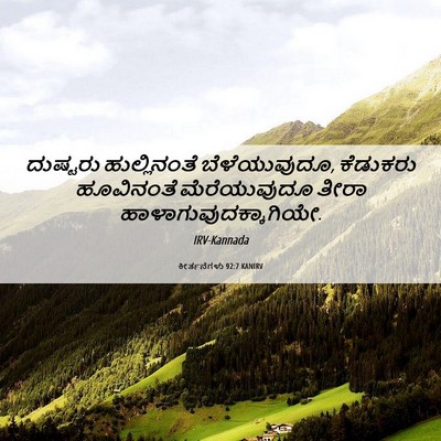 Picture 06 - ಕೀರ್ತನೆಗಳು 92:7 KANIRV - ದುಷ್ಟರು - Bible Verse Picture