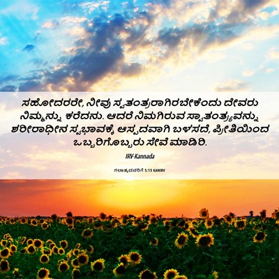 Picture 06 - ಗಲಾತ್ಯದವರಿಗೆ 5:13 KANIRV - ಸಹೋದರರೇ, ನೀವು - Bible Verse Picture