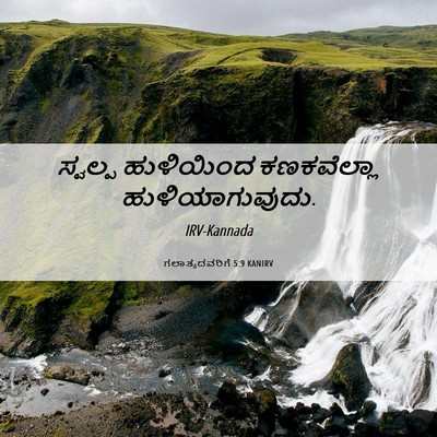 Picture 06 - ಗಲಾತ್ಯದವರಿಗೆ 5:9 KANIRV - ಸ್ವಲ್ಪ ಹುಳಿಯಿಂದ - Bible Verse Picture
