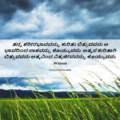 Picture 06 - ಗಲಾತ್ಯದವರಿಗೆ 6:8 KANIRV - ತನ್ನ ಶರೀರಭಾವವನ್ನು - Bible Verse Picture