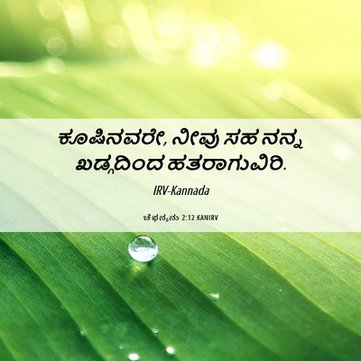 Picture 06 - ಚೆಫನ್ಯನು 2:12 KANIRV - ಕೂಷಿನವರೇ, ನೀವು ಸಹ - Bible Verse Picture
