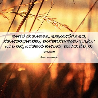 Picture 06 - ಜೆಕರ್ಯನು 11:14 KANIRV - ಕೂಡಲೆ ಯೆಹೂದಕ್ಕೂ, - Bible Verse Picture