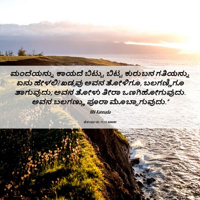 Picture 06 - ಜೆಕರ್ಯನು 11:17 KANIRV - ಮಂದೆಯನ್ನು ಕಾಯದೆ - Bible Verse Picture