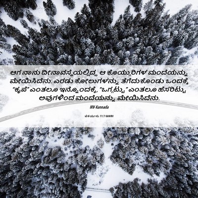 Picture 06 - ಜೆಕರ್ಯನು 11:7 KANIRV - ಆಗ ನಾನು - Bible Verse Picture
