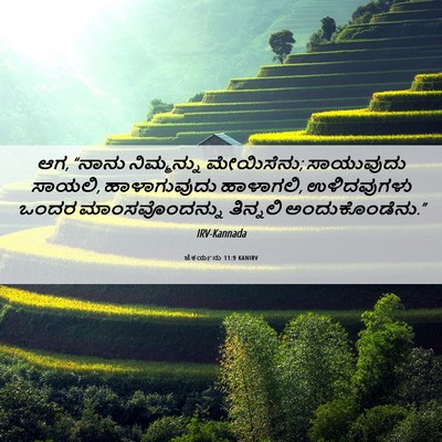 Picture 06 - ಜೆಕರ್ಯನು 11:9 KANIRV - ಆಗ, “ನಾನು - Bible Verse Picture
