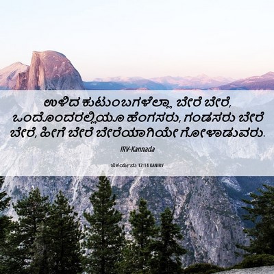Picture 06 - ಜೆಕರ್ಯನು 12:14 KANIRV - ಉಳಿದ - Bible Verse Picture