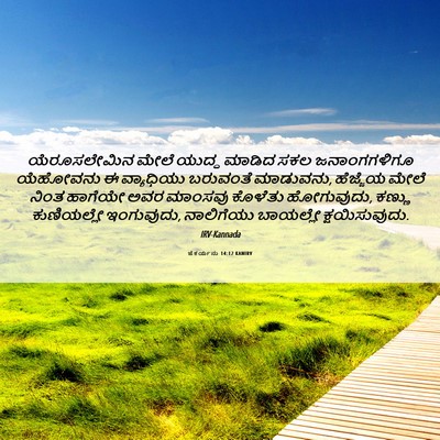Picture 06 - ಜೆಕರ್ಯನು 14:12 KANIRV - ಯೆರೂಸಲೇಮಿನ ಮೇಲೆ - Bible Verse Picture