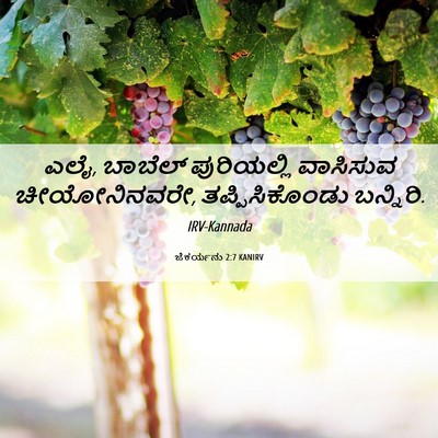 Picture 06 - ಜೆಕರ್ಯನು 2:7 KANIRV - ಎಲೈ, ಬಾಬೆಲ್ - Bible Verse Picture