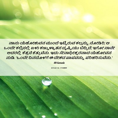 Picture 06 - ಜೆಕರ್ಯನು 3:9 KANIRV - ನಾನು ಯೆಹೋಶುವನ - Bible Verse Picture
