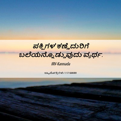 Picture 06 - ಜ್ಞಾನೋಕ್ತಿಗಳು 1:17 KANIRV - ಪಕ್ಷಿಗಳ - Bible Verse Picture