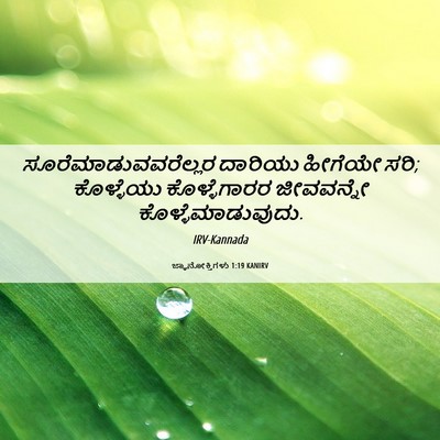 Picture 06 - ಜ್ಞಾನೋಕ್ತಿಗಳು 1:19 KANIRV - ಸೂರೆಮಾಡುವವರೆಲ್ಲರ - Bible Verse Picture