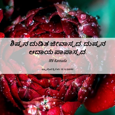 Picture 06 - ಜ್ಞಾನೋಕ್ತಿಗಳು 10:16 KANIRV - ಶಿಷ್ಟನ ದುಡಿತ - Bible Verse Picture